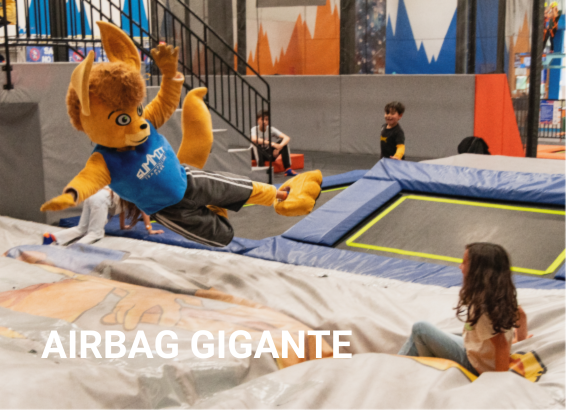 Airbag Gigante